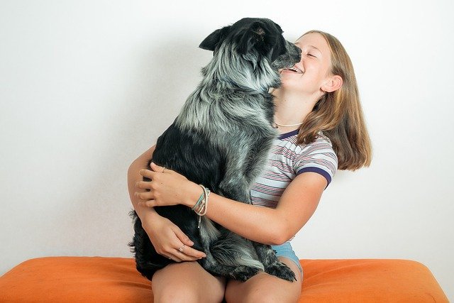 6 Signs that your dog is madly in love with you