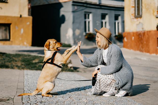 Here are some ways you can show your dog that you’re a trustworthy dog owner